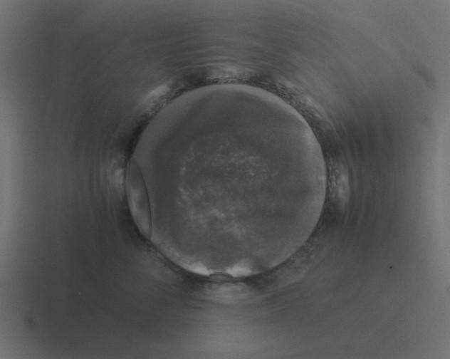 X0000116420716200912291849