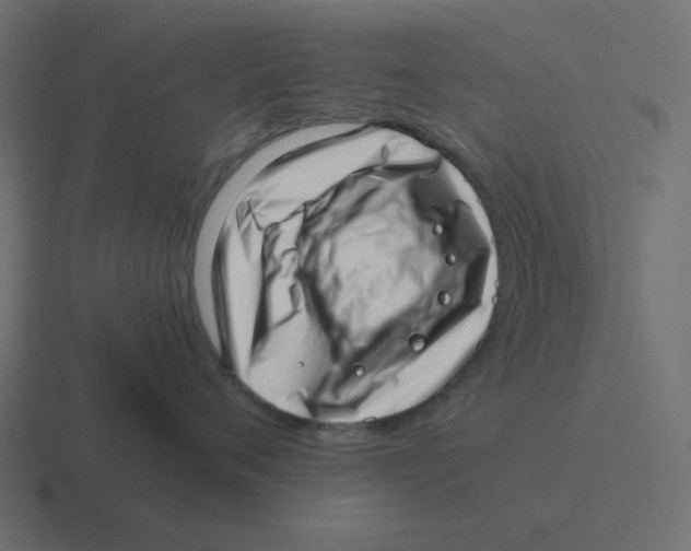 X0000116420720200912291849