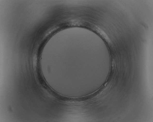 X0000116420722200912291848