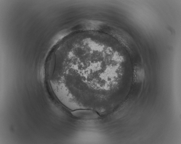 X0000116420726200912291848