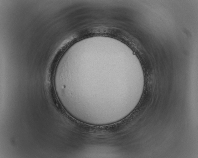 X0000116420727200912291848