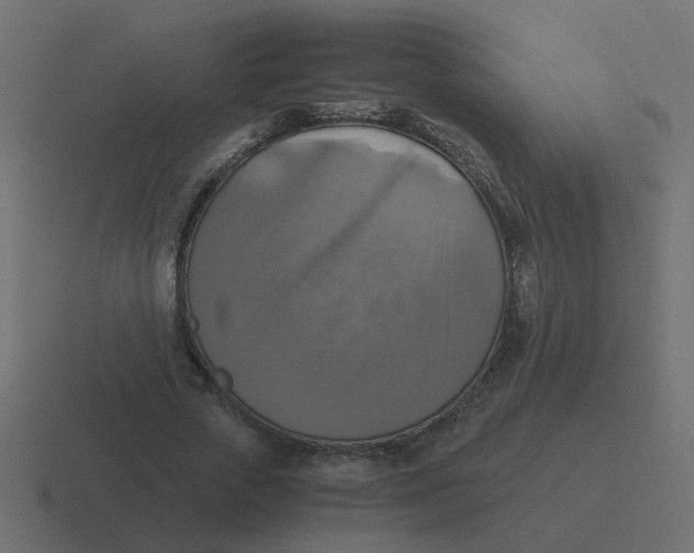 X0000116420729200912291848