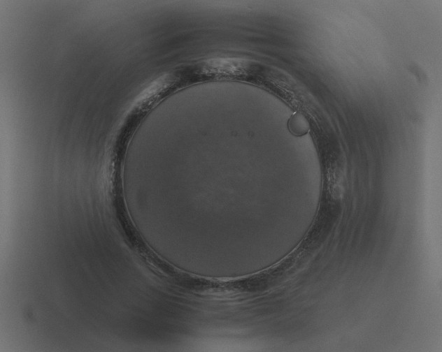 X0000116420735200912291848