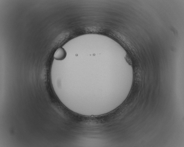 X0000116420738200912291848