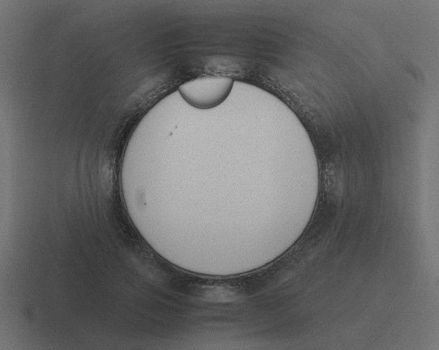 X0000116420741200912291848
