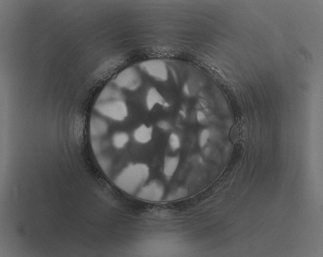 X0000116420742200912291848