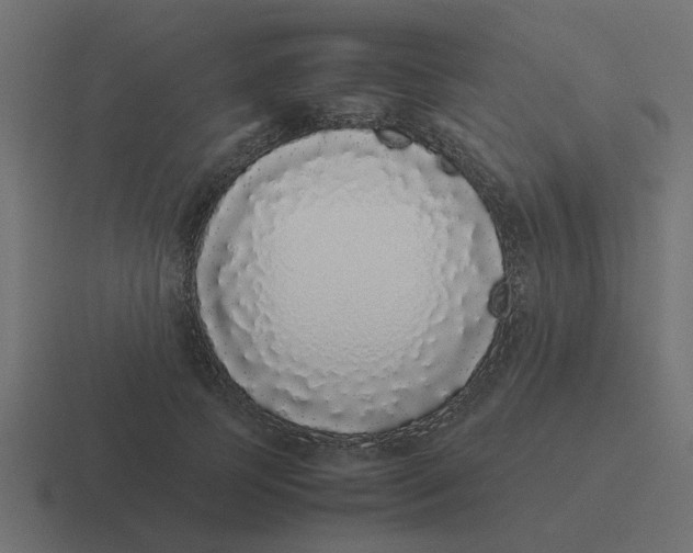 X0000116420745200912291848