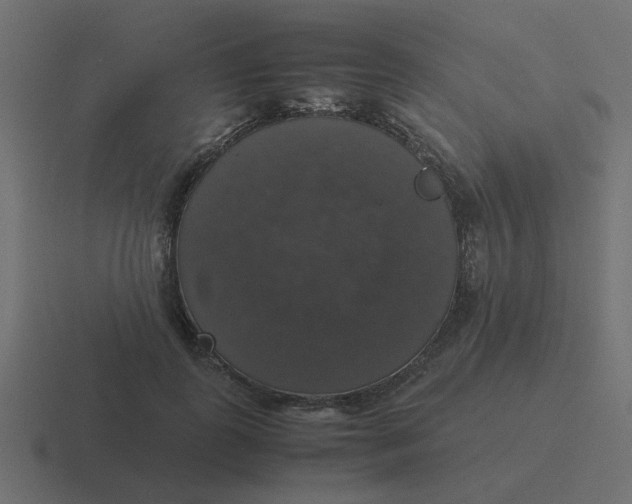 X0000116420747200912291848
