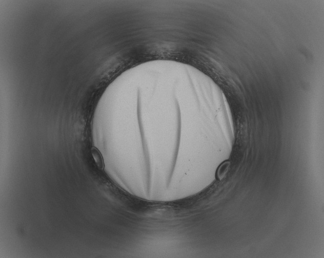 X0000116420750200912291848