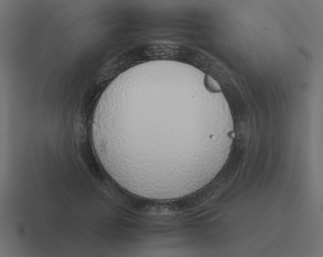 X0000116420751200912291848