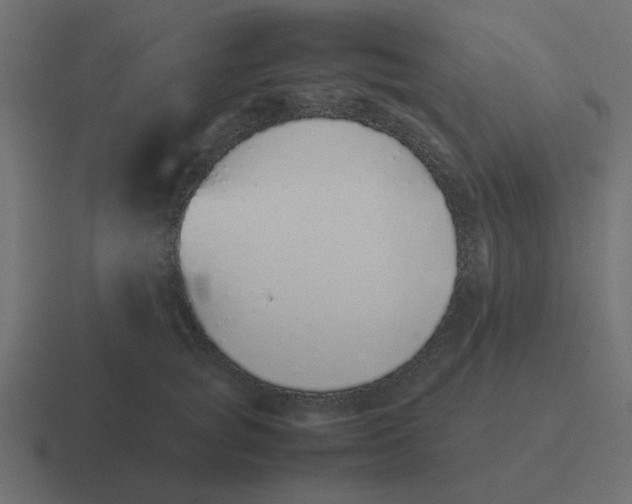 X0000116420757200912291848