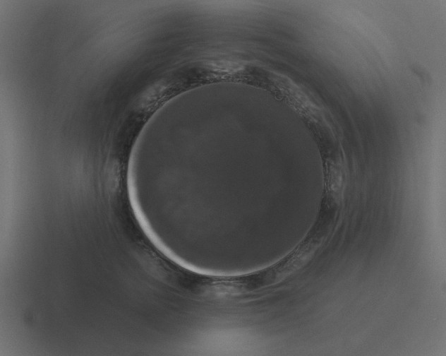 X0000116420758200912291848