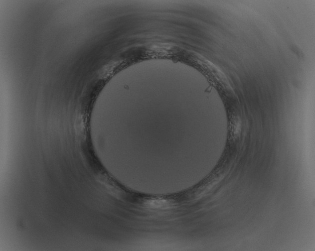X0000116420759200912291848