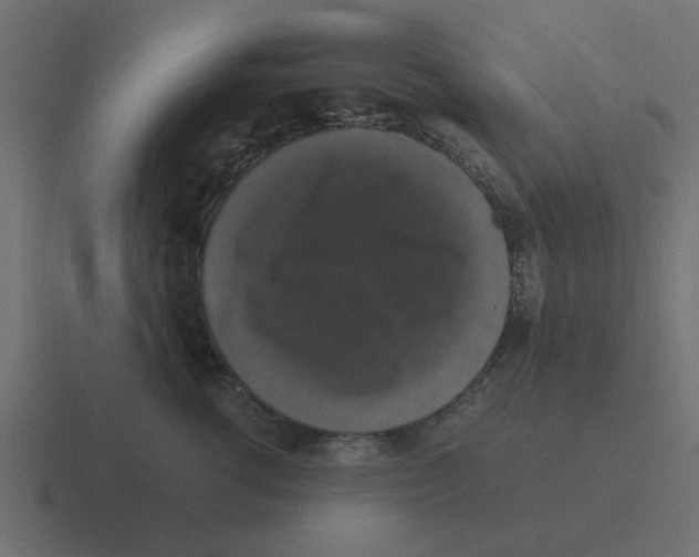X0000116420762200912291849