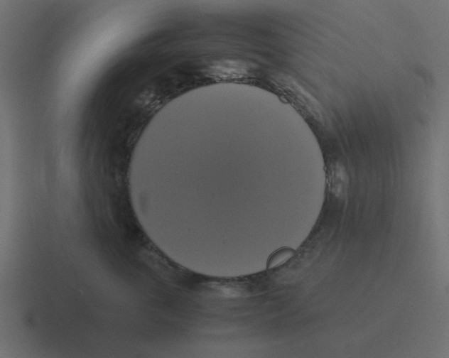 X0000116420763200912291849