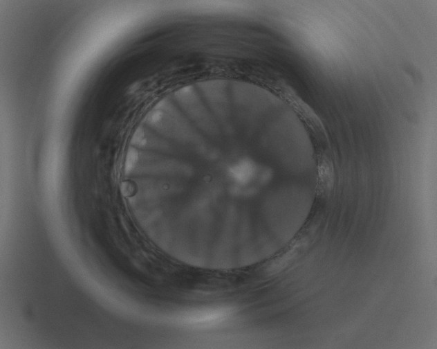 X0000116420765200912291849