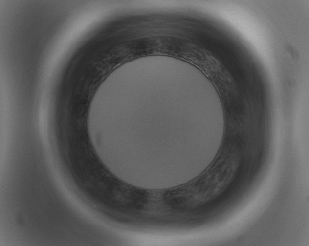 X0000116420766200912291849