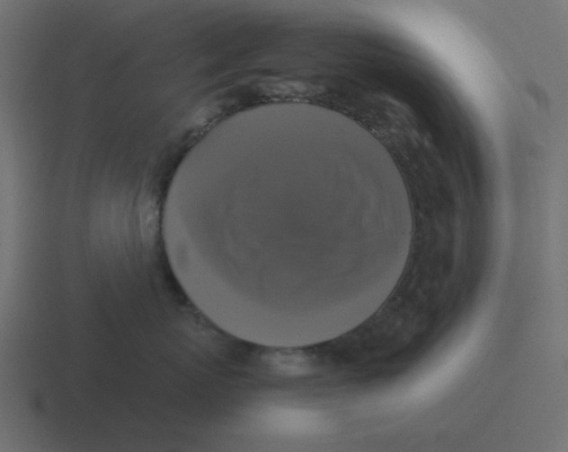 X0000116420767200912291849