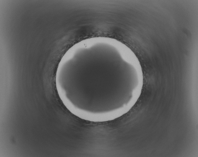 X0000116420769200912291848