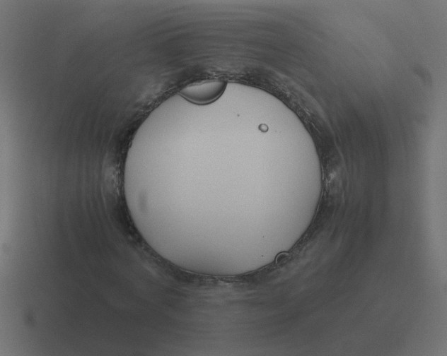 X0000116420772200912291848