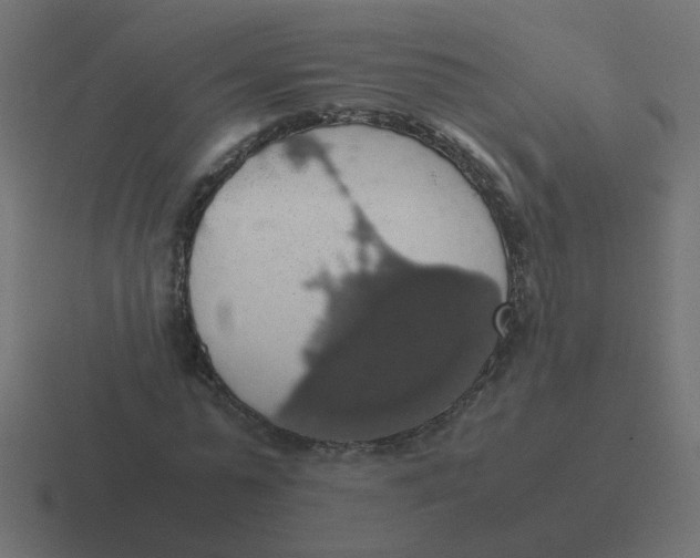 X0000116420775200912291848