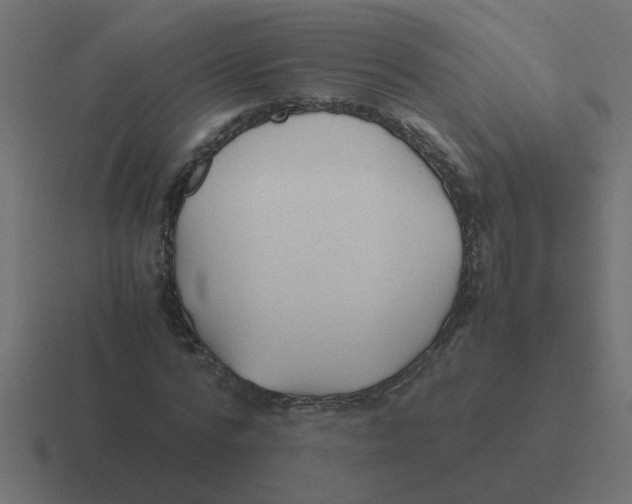 X0000116420776200912291848