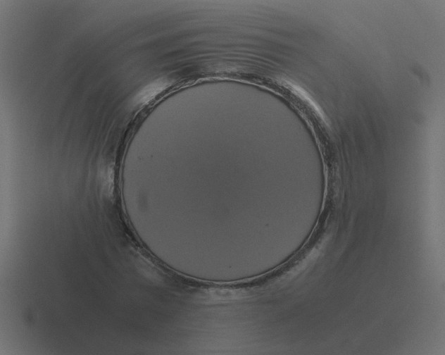 X0000116420777200912291848