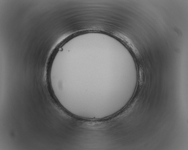 X0000116420780200912291848
