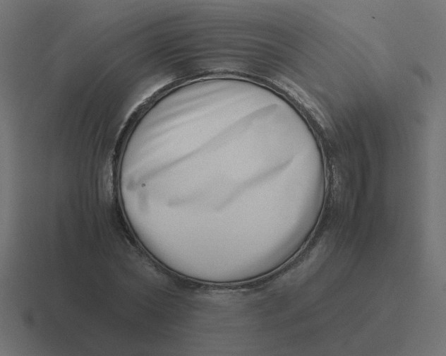 X0000116420782200912291848