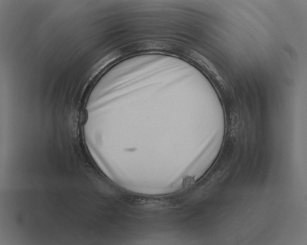 X0000116420786200912291848
