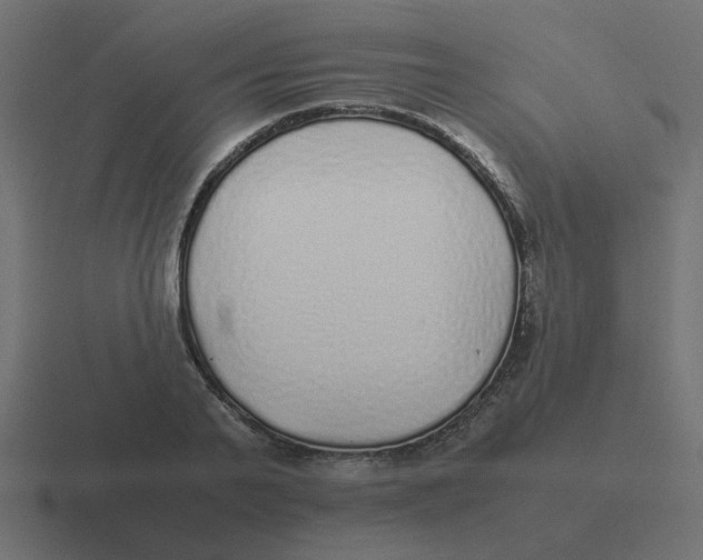 X0000116420791200912291848