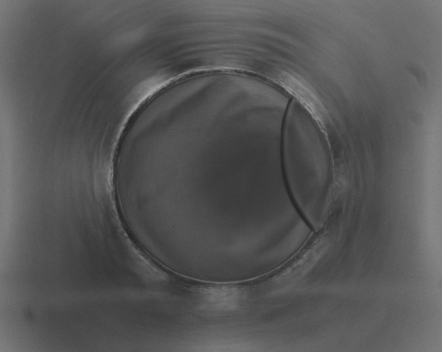 X0000116420797200912291848
