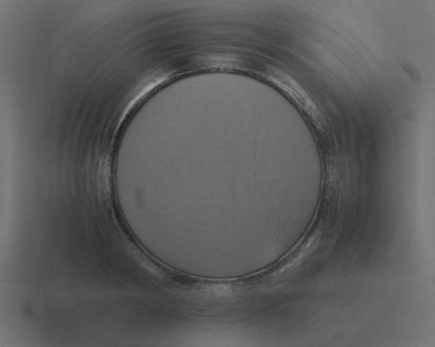 X0000116420798200912291848