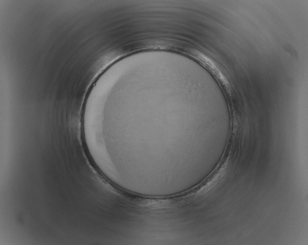 X0000116420802200912291848