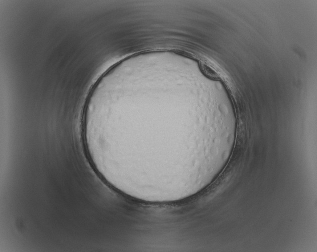 X0000116420803200912291848