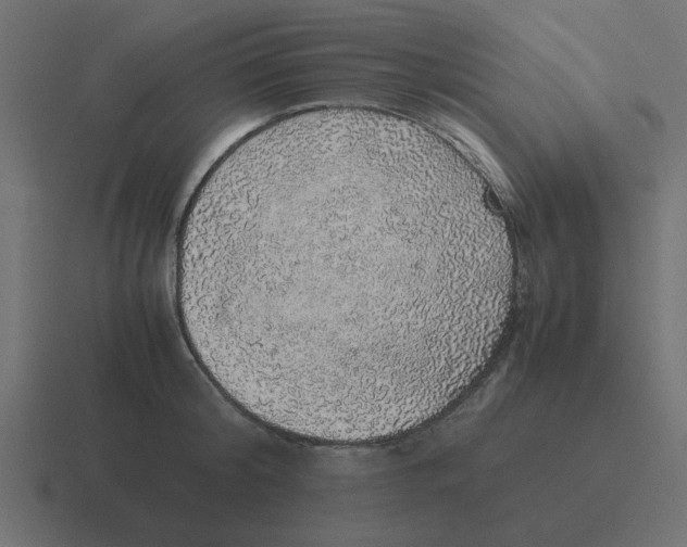 X0000116420804200912291848