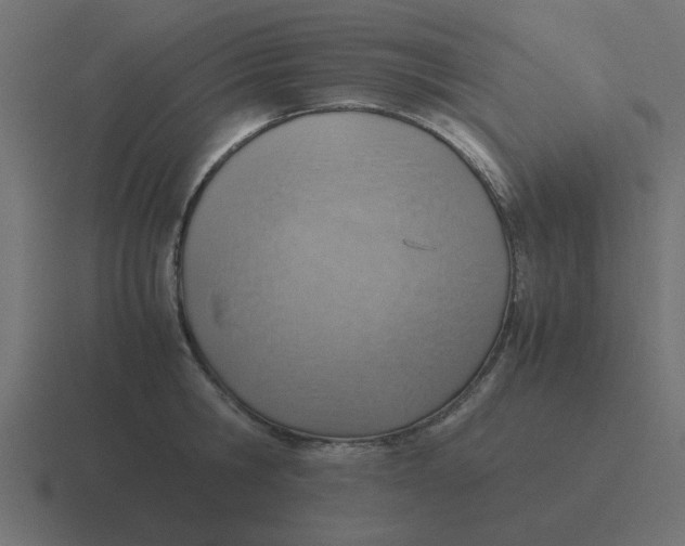 X0000116420806200912291848