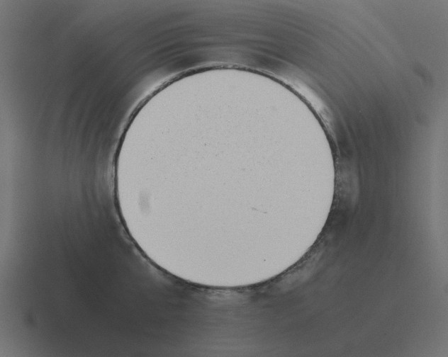 X0000116420807200912291848
