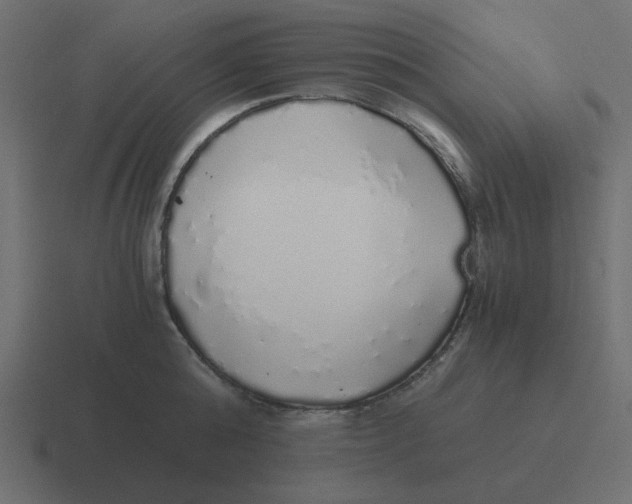 X0000116420808200912291847