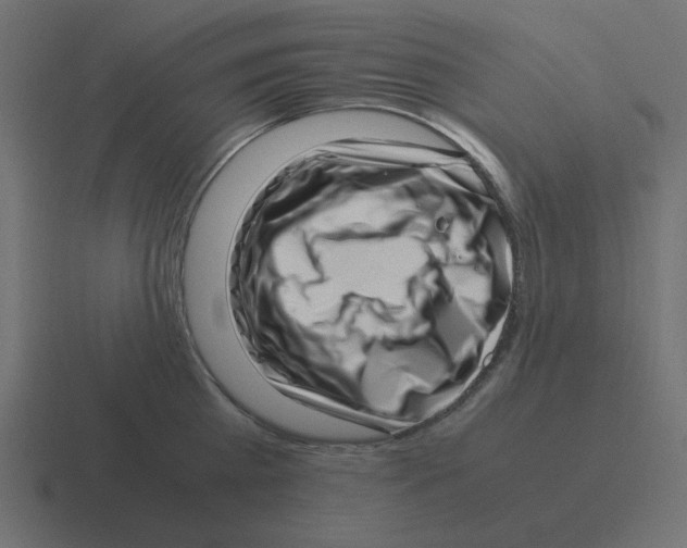 X0000116420809200912291847