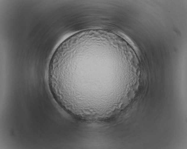X0000116420811200912291847