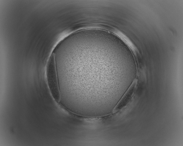 X0000116420813200912291847