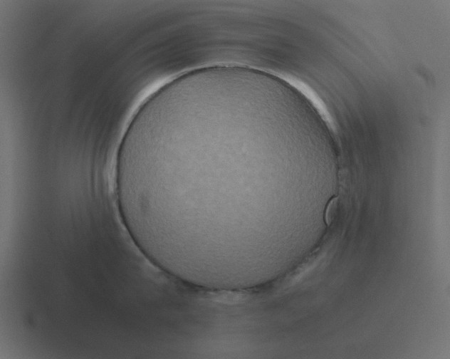 X0000116420815200912291847