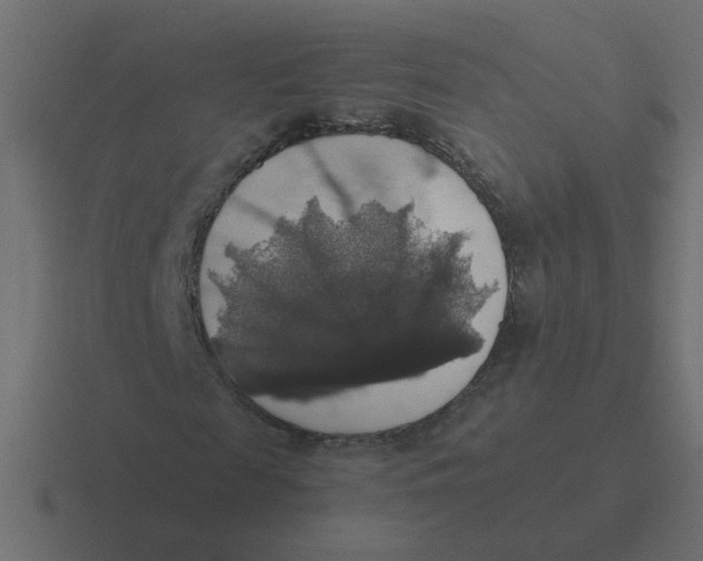 X0000116420817200912291847
