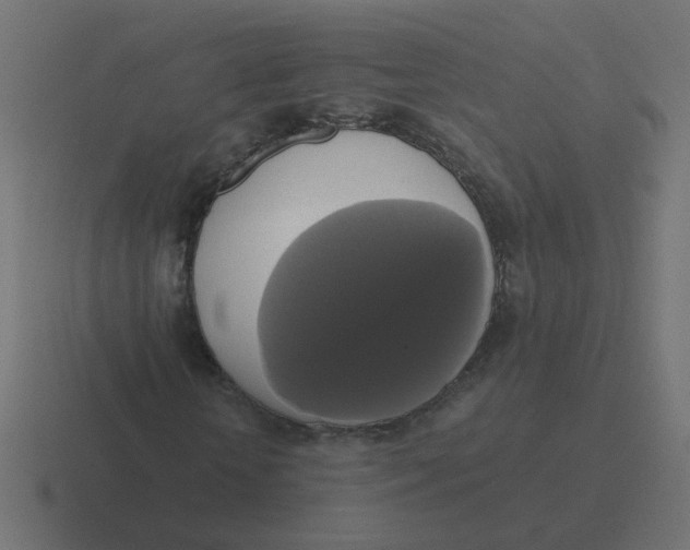X0000116420818200912291847