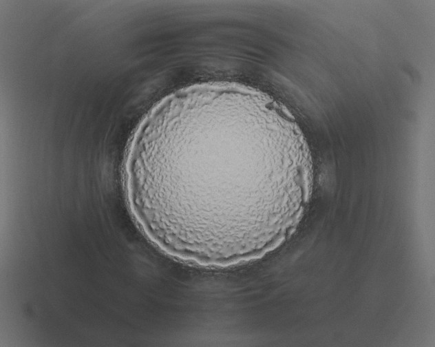 X0000116420819200912291847