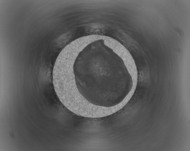 X0000116420820200912291847