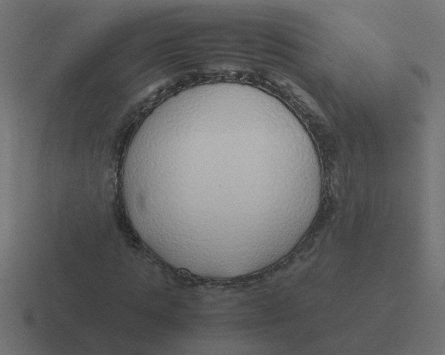 X0000116420821200912291847