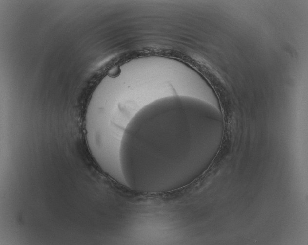 X0000116420822200912291847