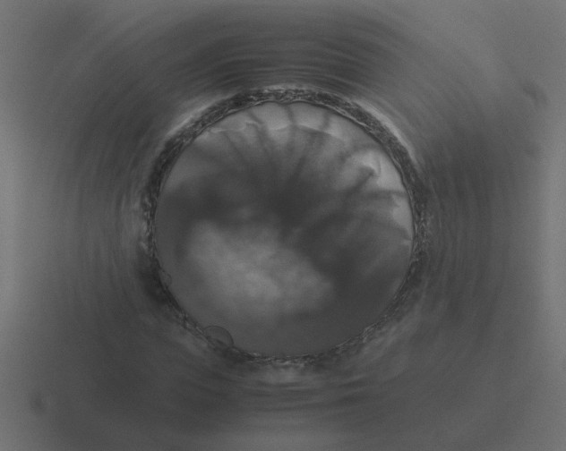 X0000116420823200912291847